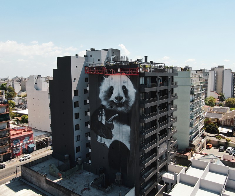Panda Pandemial.png